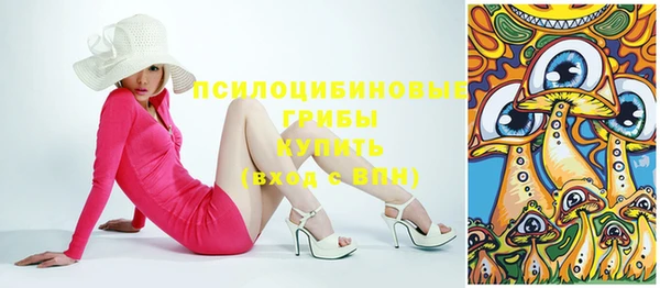 соль ск Бронницы