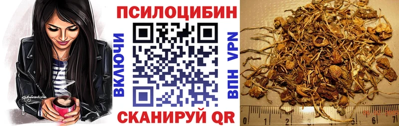 где купить наркотик  Всеволожск  блэк спрут ССЫЛКА  Псилоцибиновые грибы Cubensis 