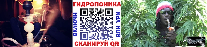 Бошки Шишки Amnesia  Всеволожск 